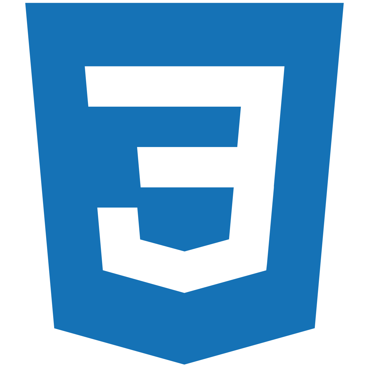 CSS icon